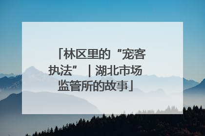 林区里的“宠客执法”｜湖北市场监管所的故事