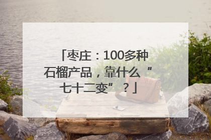 枣庄：100多种石榴产品，靠什么“七十二变”？