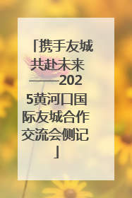 携手友城 共赴未来——2025黄河口国际友城合作交流会侧记