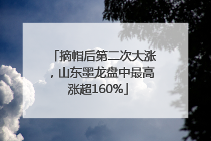 摘帽后第二次大涨，山东墨龙盘中最高涨超160%