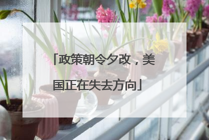 政策朝令夕改，美国正在失去方向