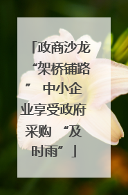 政商沙龙“架桥铺路” 中小企业享受政府采购 “及时雨”