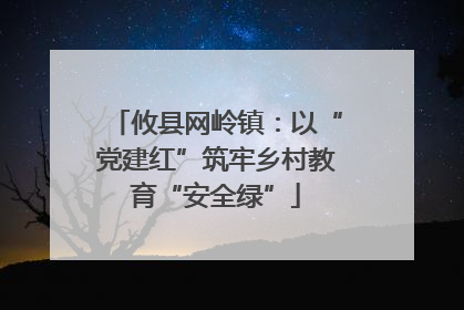 攸县网岭镇：以“党建红”筑牢乡村教育“安全绿”