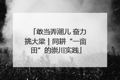 敢当弄潮儿 奋力挑大梁｜同耕“一亩田”的崇川实践