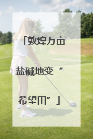 敦煌万亩盐碱地变“希望田”