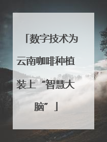 数字技术为云南咖啡种植装上“智慧大脑”