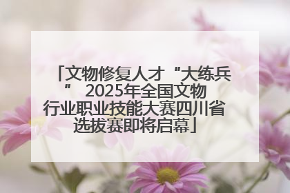 文物修复人才“大练兵” 2025年全国文物行业职业技能大赛四川省选拔赛即将启幕