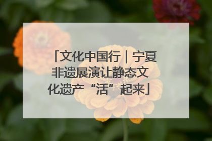 文化中国行｜宁夏 非遗展演让静态文化遗产“活”起来