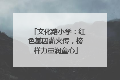 文化路小学：红色基因薪火传，榜样力量润童心