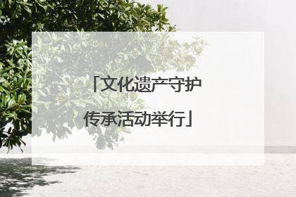 文化遗产守护传承活动举行