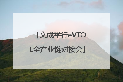 文成举行eVTOL全产业链对接会