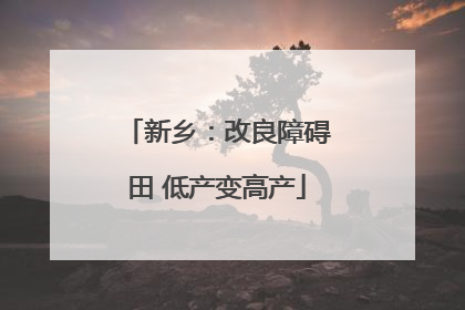 新乡：改良障碍田 低产变高产