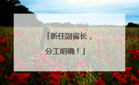 新任副省长，分工明确！