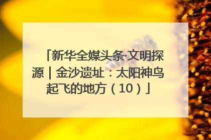 新华全媒头条·文明探源｜金沙遗址：太阳神鸟起飞的地方（10）