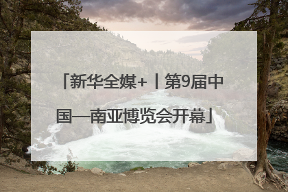 新华全媒+丨第9届中国—南亚博览会开幕