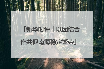 新华时评丨以团结合作共促南海稳定繁荣