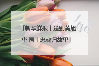 新华鲜报丨送别黄旭华 国士忠魂归故里