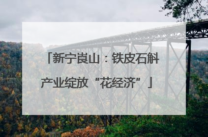 新宁崀山：铁皮石斛产业绽放“花经济”