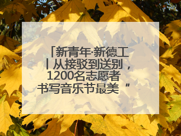 新青年·新德工丨从接驳到送别，1200名志愿者书写音乐节最美“新青年答卷”
