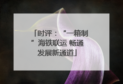 时评：“一箱制”海铁联运 畅通发展新通道