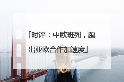 时评：中欧班列，跑出亚欧合作加速度
