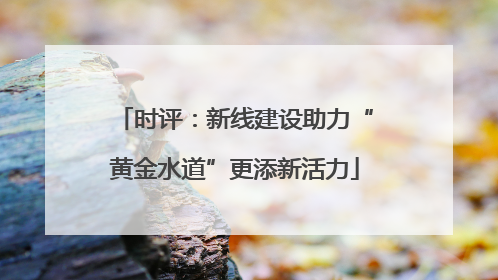 时评：新线建设助力“黄金水道”更添新活力