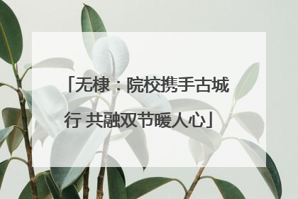 无棣：院校携手古城行 共融双节暖人心