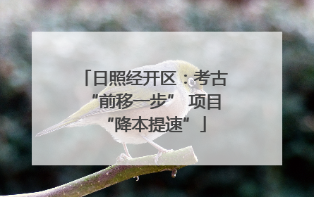 日照经开区：考古“前移一步” 项目“降本提速”