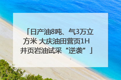 日产油8吨、气3万立方米 大庆油田营页1H井页岩油试采“逆袭”