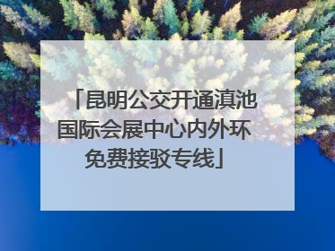 昆明公交开通滇池国际会展中心内外环免费接驳专线