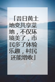 昔日黄土地变共享菜地，不仅环境美了，市民多了体验乐趣，村民还能增收