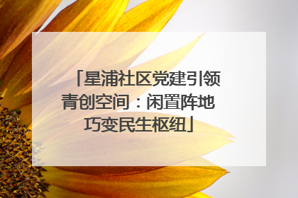 星浦社区党建引领青创空间：闲置阵地巧变民生枢纽