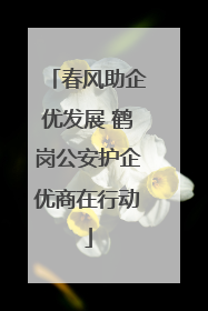 春风助企优发展 鹤岗公安护企优商在行动
