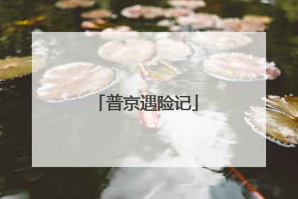 普京遇险记