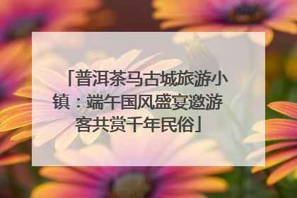 普洱茶马古城旅游小镇：端午国风盛宴邀游客共赏千年民俗