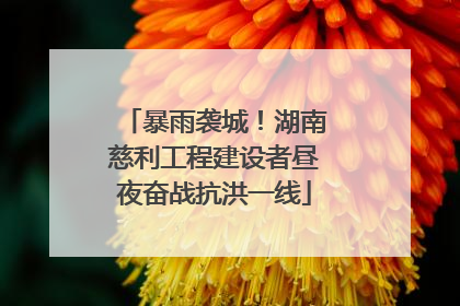 暴雨袭城！湖南慈利工程建设者昼夜奋战抗洪一线