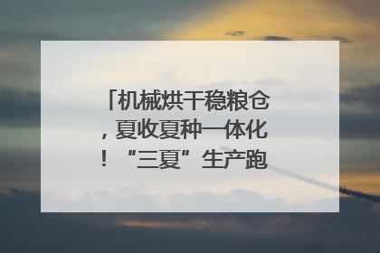 机械烘干稳粮仓，夏收夏种一体化！“三夏”生产跑出加速度｜麦报
