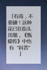 有毒，不要碰！这种花已在街头出现，《甄嬛传》中也有“科普”