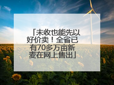未收也能先以好价卖！全省已有70多万亩新麦在网上售出