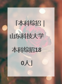 本科综招｜山东科技大学本科综招180人