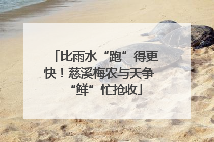 比雨水“跑”得更快！慈溪梅农与天争“鲜”忙抢收
