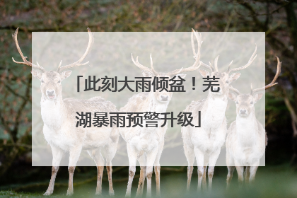 此刻大雨倾盆！芜湖暴雨预警升级