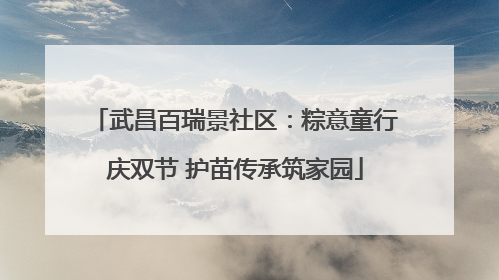 武昌百瑞景社区：粽意童行庆双节 护苗传承筑家园