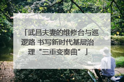 武昌夫妻的维修台与巡逻路 书写新时代基层治理“三重变奏曲”