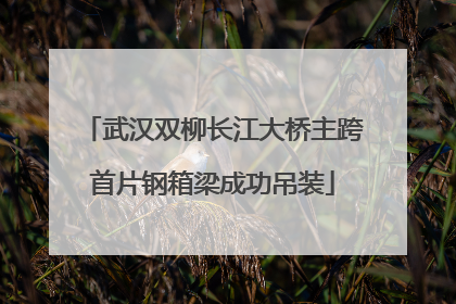 武汉双柳长江大桥主跨首片钢箱梁成功吊装