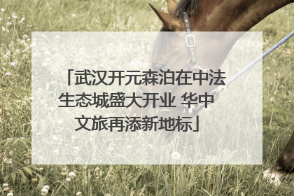 武汉开元森泊在中法生态城盛大开业 华中文旅再添新地标