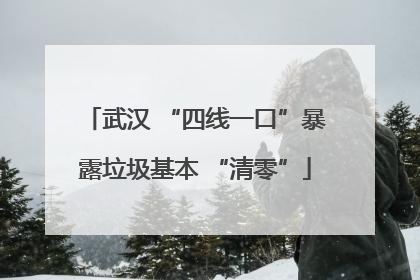 武汉 “四线一口”暴露垃圾基本 “清零”