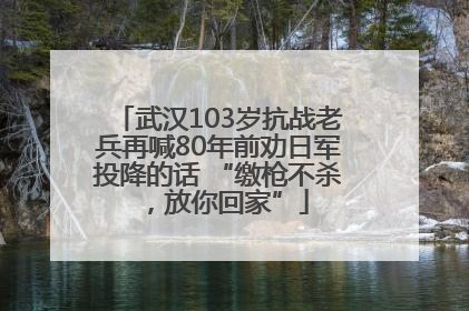 武汉103岁抗战老兵再喊80年前劝日军投降的话 “缴枪不杀，放你回家”