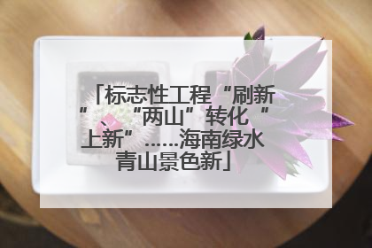 标志性工程“刷新”、“两山”转化“上新”……海南绿水青山景色新