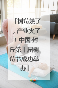 树莓熟了，产业火了！中国·封丘第十届树莓节成功举办